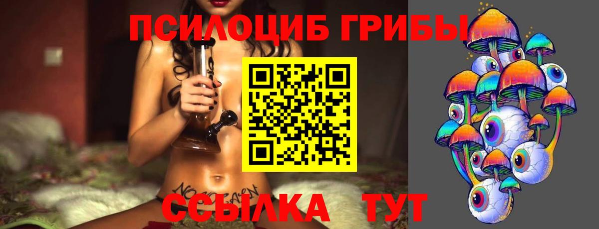 Сосновоборск  Галлюциногенные грибы MAGIC MUSHROOMS  Вход с VPN 
